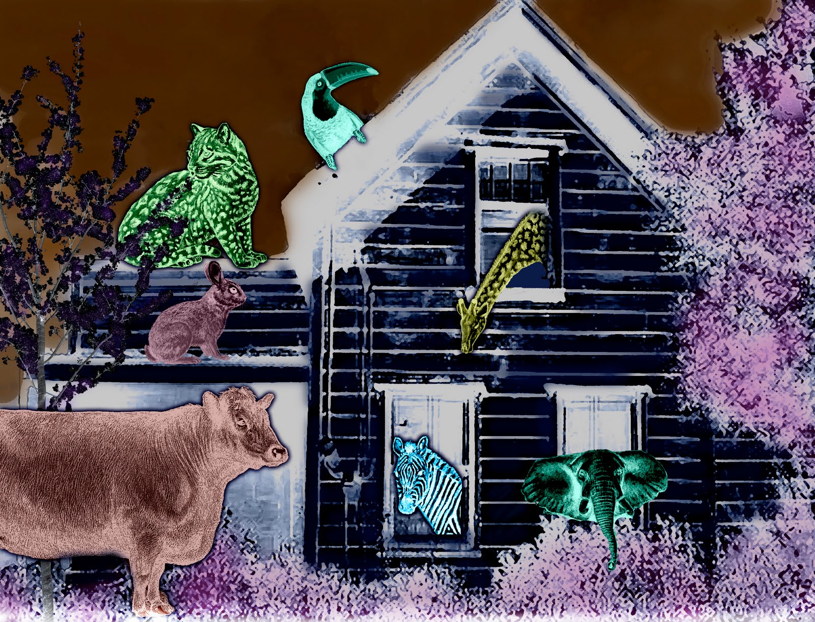 house collages