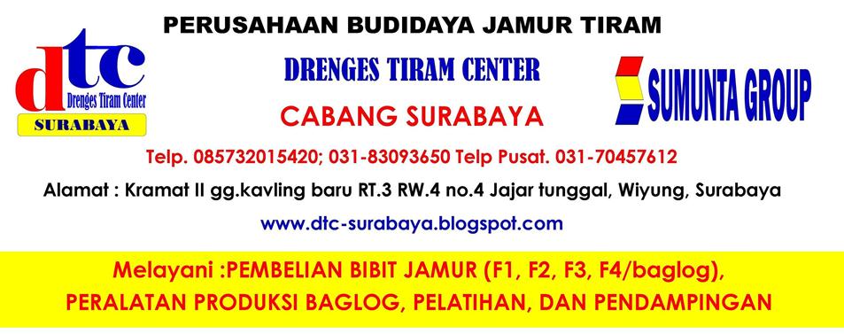 DTC SURABAYA