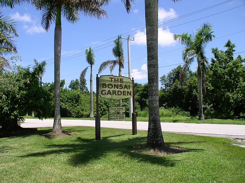Florida Flowers and Gardens The Bonsai Garden at Miami Tropical Bonsai