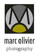 gorgeous art prints at unpretentious prices