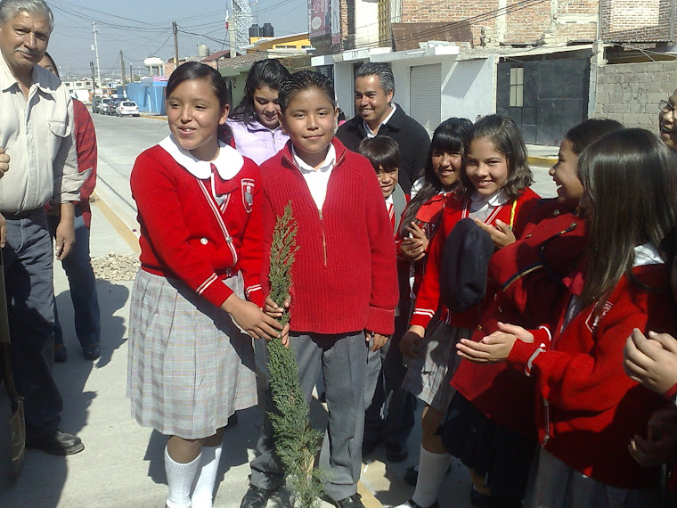 PLANTA UN ARBOL