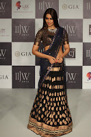 Bollywood, Hot, Actress, at, IIJW, Photos
