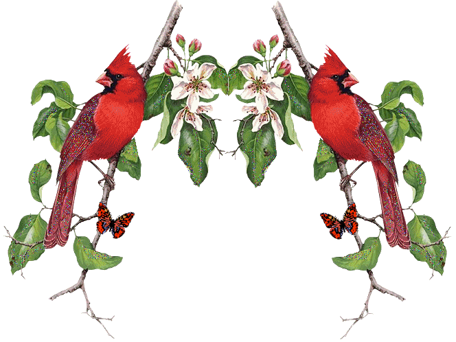 Animation Bundle: Animated Cardinals Chirping and Spreading Love of