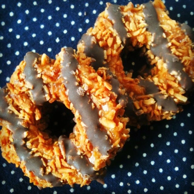 Girl Scout Cookies Samoas