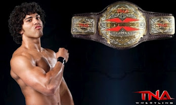 TNA X Division Champion