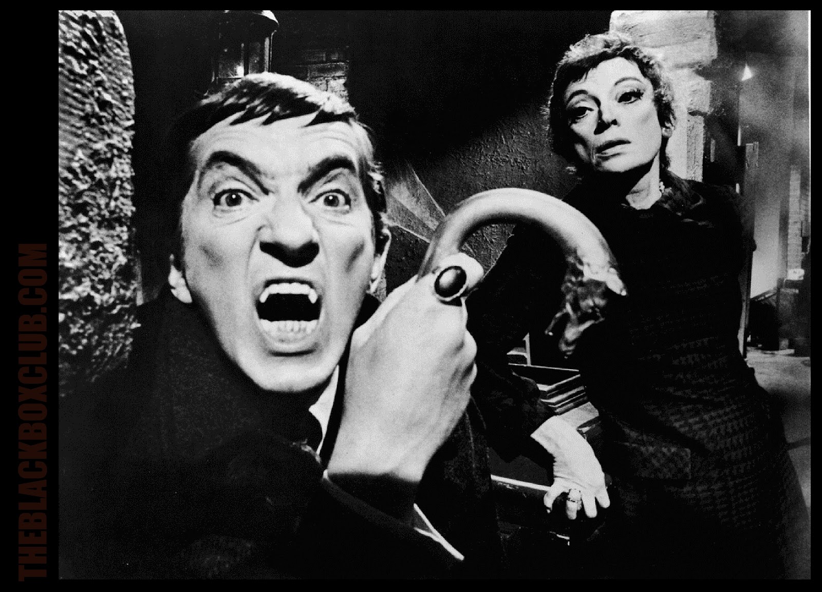 dark shadows dark shadows