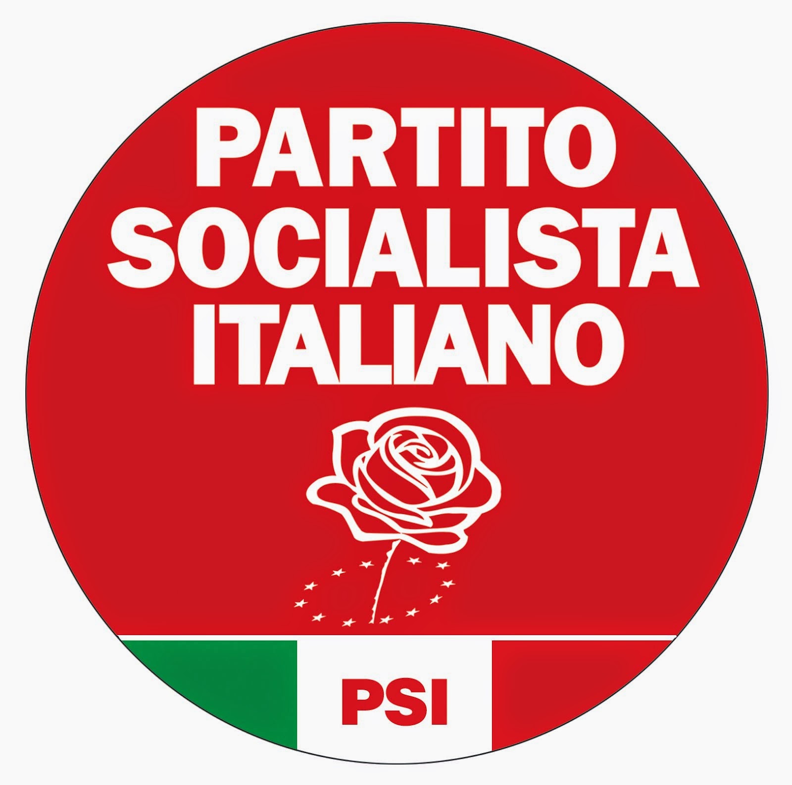 Il programma dei Socialisti 2014