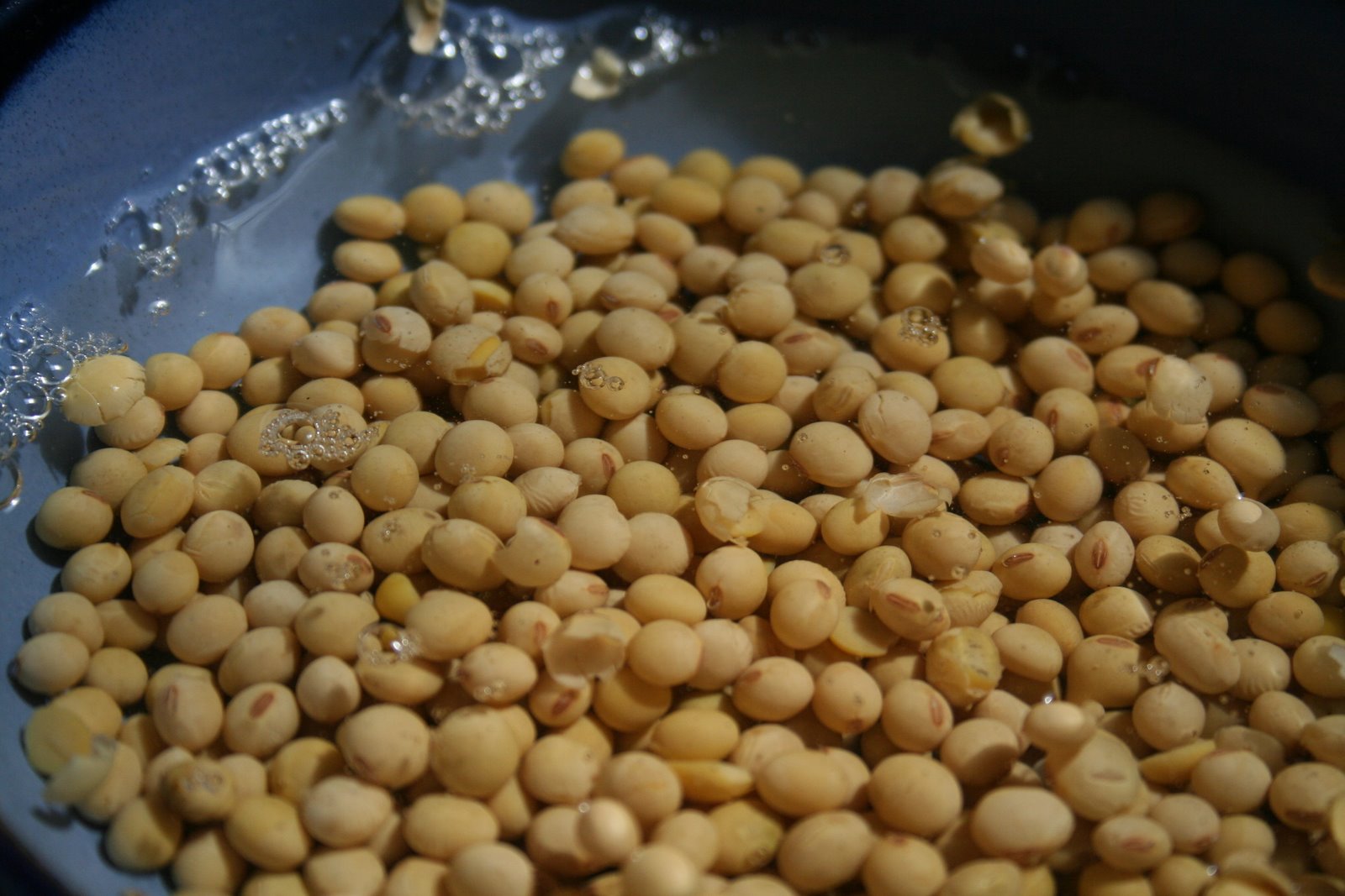 The Freerange Chick Fresh soy milk