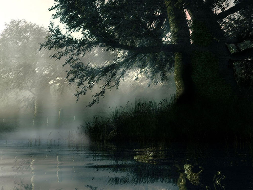 http://4.bp.blogspot.com/-ckaoTGIxhOk/TmD3uqc4vdI/AAAAAAAABhg/FhJWJhwyjP4/s1600/rain%2Bwallpaper%2Bdownload+f.jpg#rain