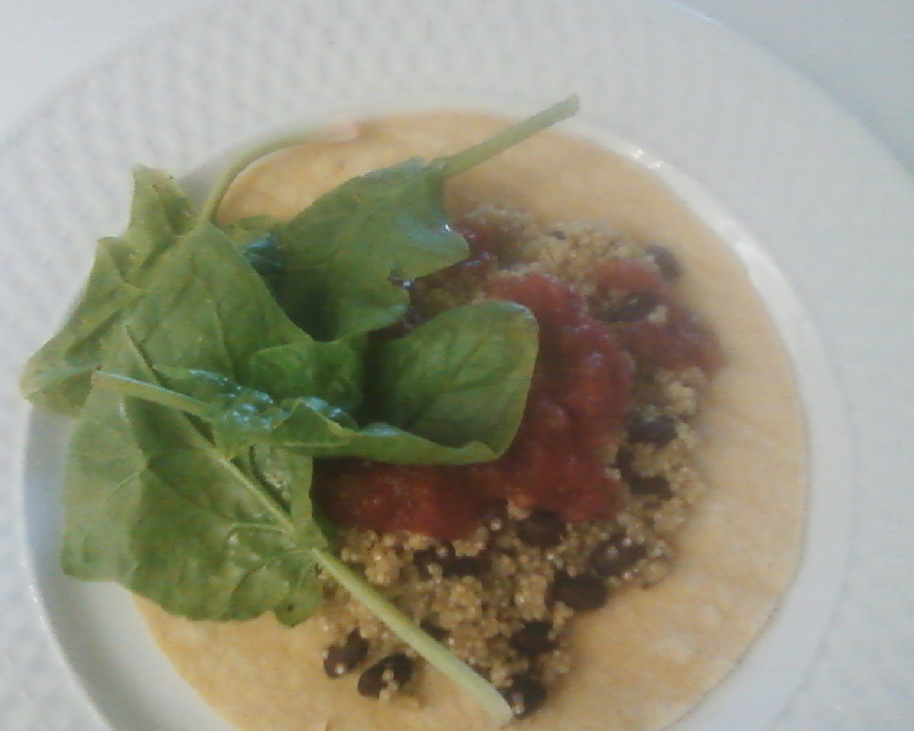 Eat Yourself Healthy & Happy Quinoa Burritos