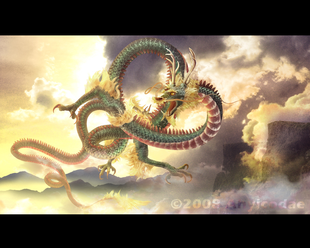 Chinese Dragons Fighting