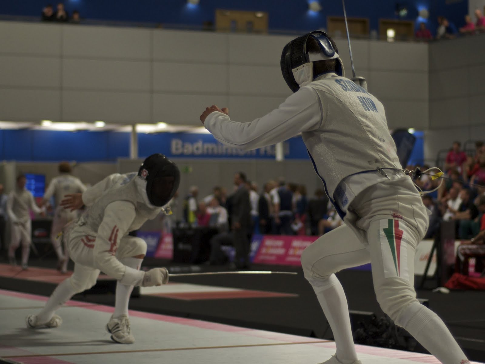 The Plashing Vole Some more photographic fencing highlights