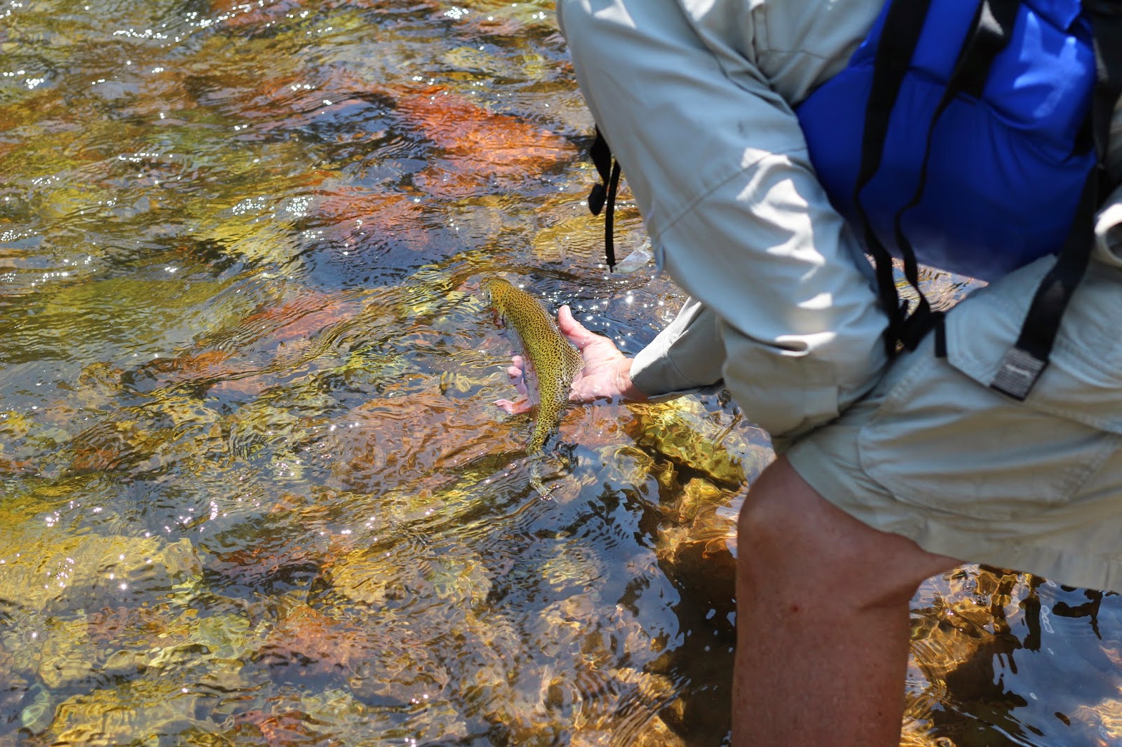 IMG_0957+Flyfishing+the+Roaring+Fork+in+Colorado+with+Jay+Scott+Outdoors.JPG