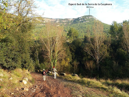 L'esperó sud de la Serra de la Cuspinera des de sota la font de Ca n'Oliveres L'esperó sud de la Serra de la Cuspinera des de sota la font de Ca n'Oliveres