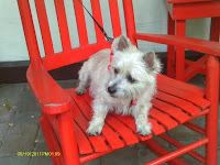 Being Pet Friendly has its Benefits...like Gracie! 5 INN%2BPICS%2BSPRING%2B073 St. Francis Inn St. Augustine Bed and Breakfast