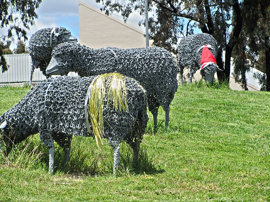 Daily Photo Canberra: December 2011