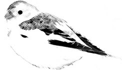 Hantverksbutiken är död - leve nya butiken! Sparv