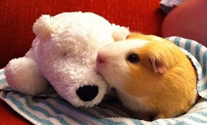 Sparky and Friend