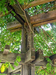 Alpendre do parque de merendas Alpendre do parque de merendas