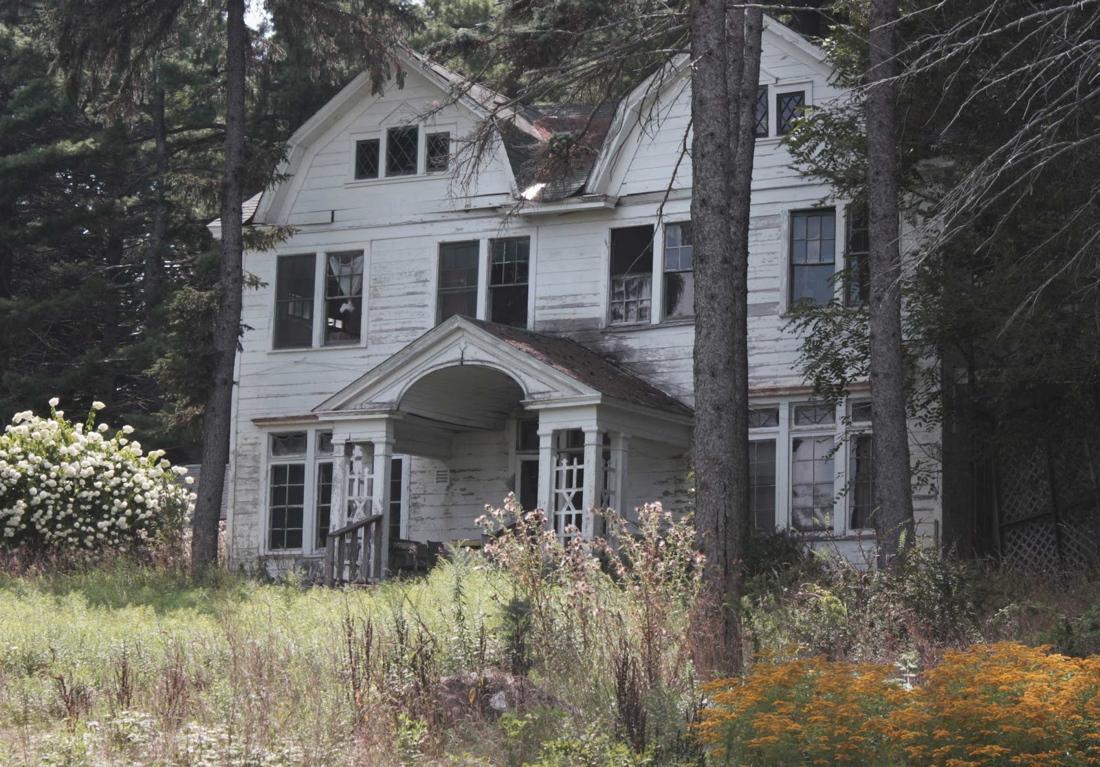 abandoned homes for sale