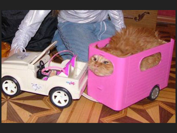 caravana barbie antigua