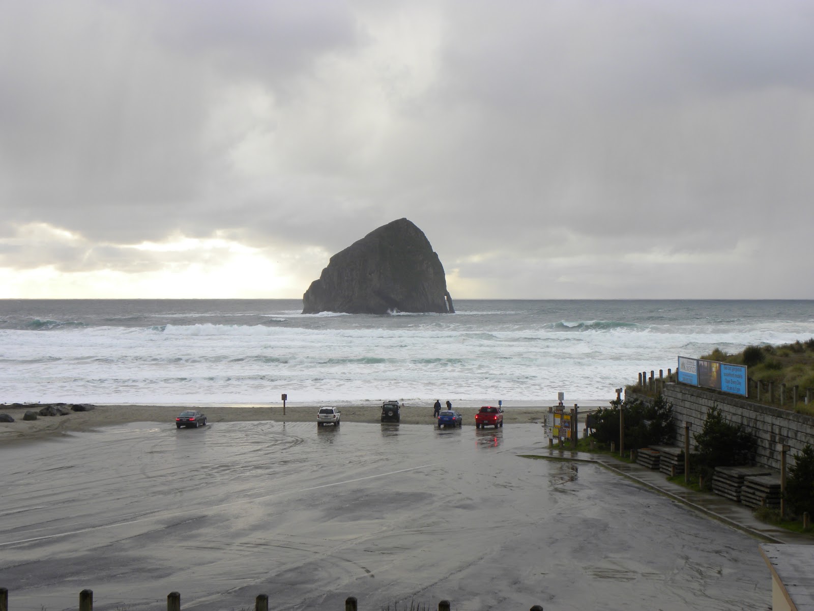 Are Dogs Allowed In Town Lake Pacific City Oregon
