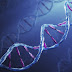 Cientistas conseguem transformar DNA em unidade de armazenamento!