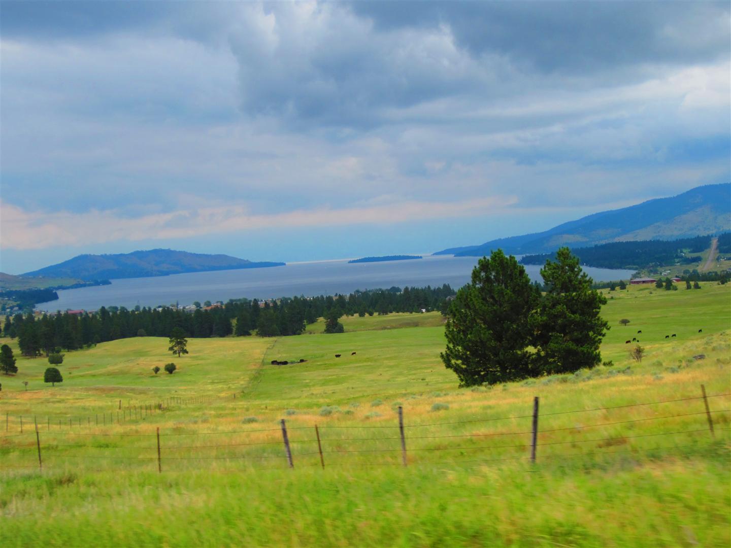 Wild, Wonderful Whites of the West West Glacier, MT