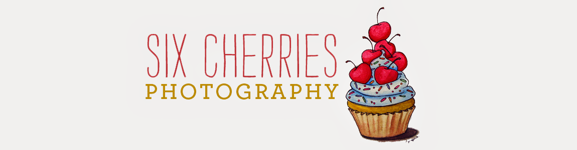 Six Cherries Photography