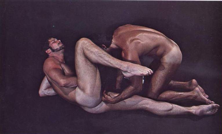 Gay erotica demographics
