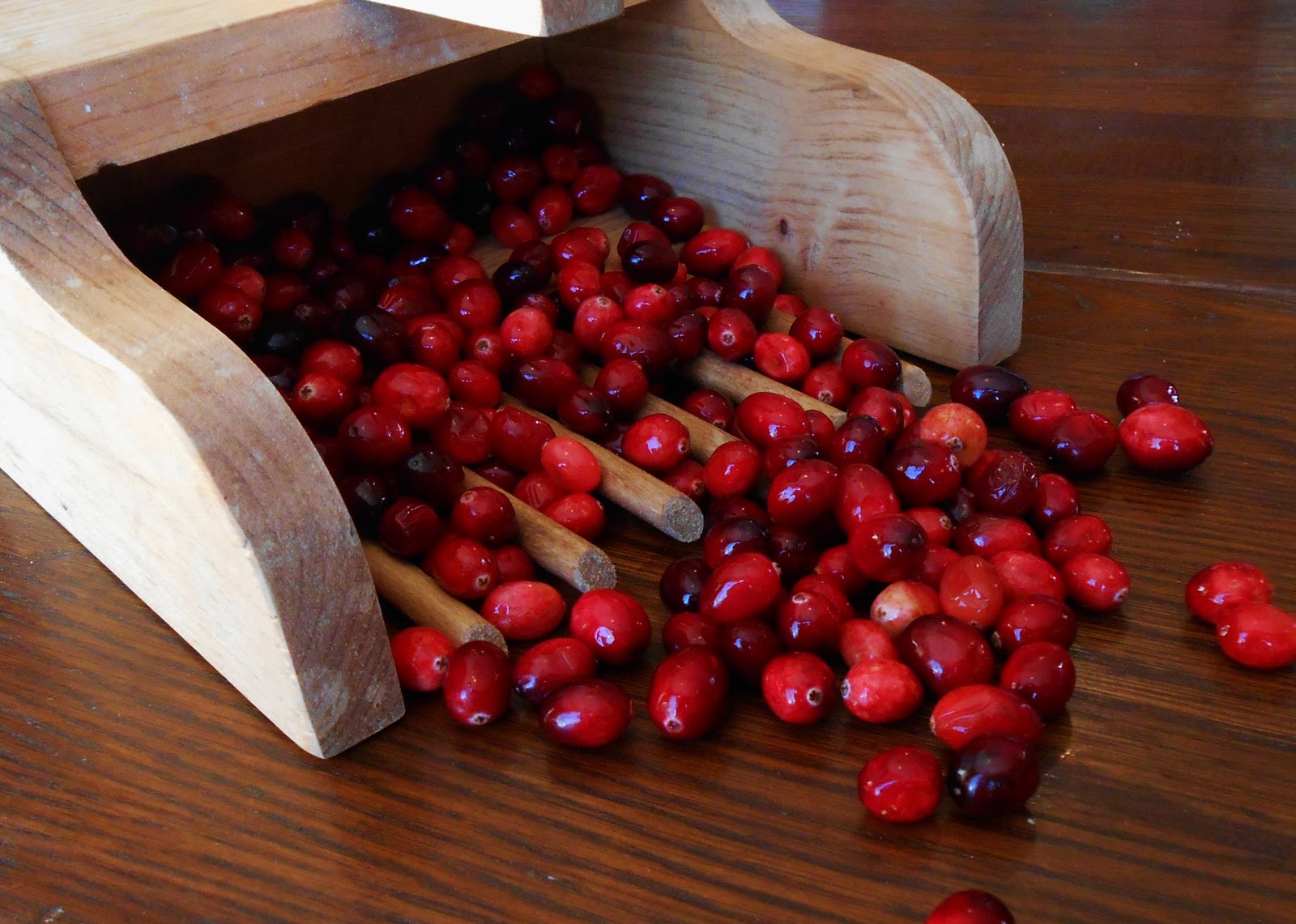 Baking Outside the Box Baking with Cranberries