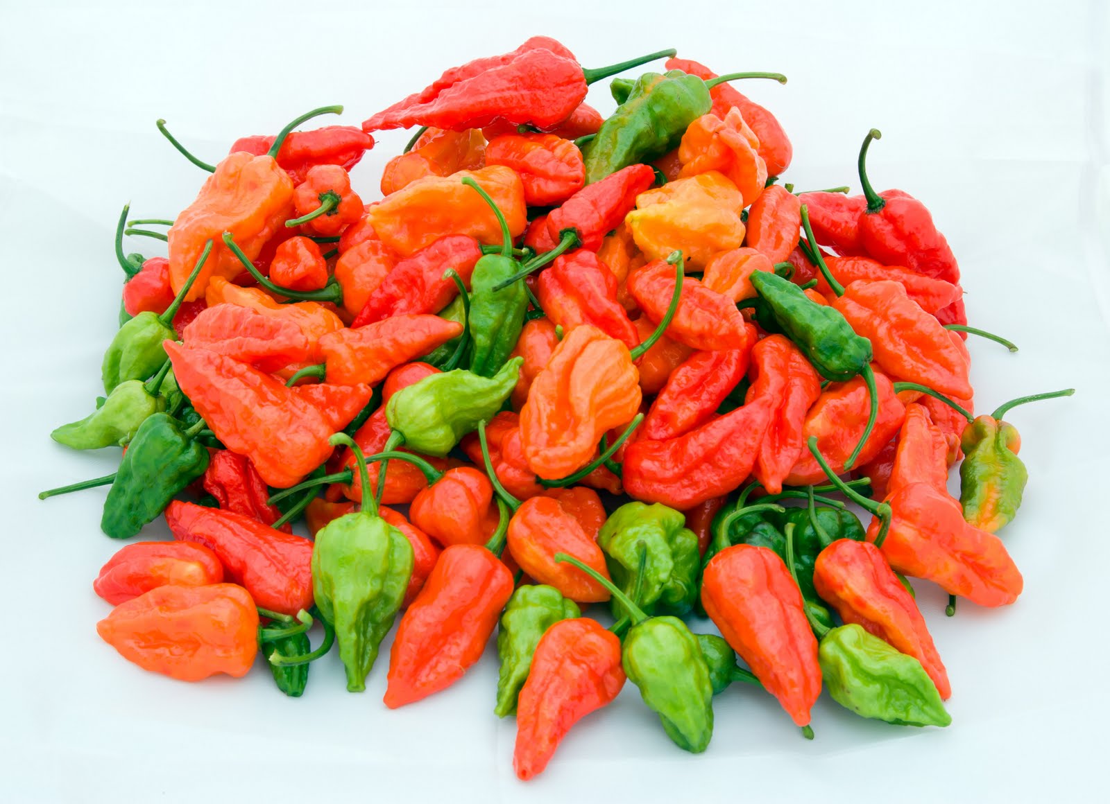 Bhut Jolokia Seeds