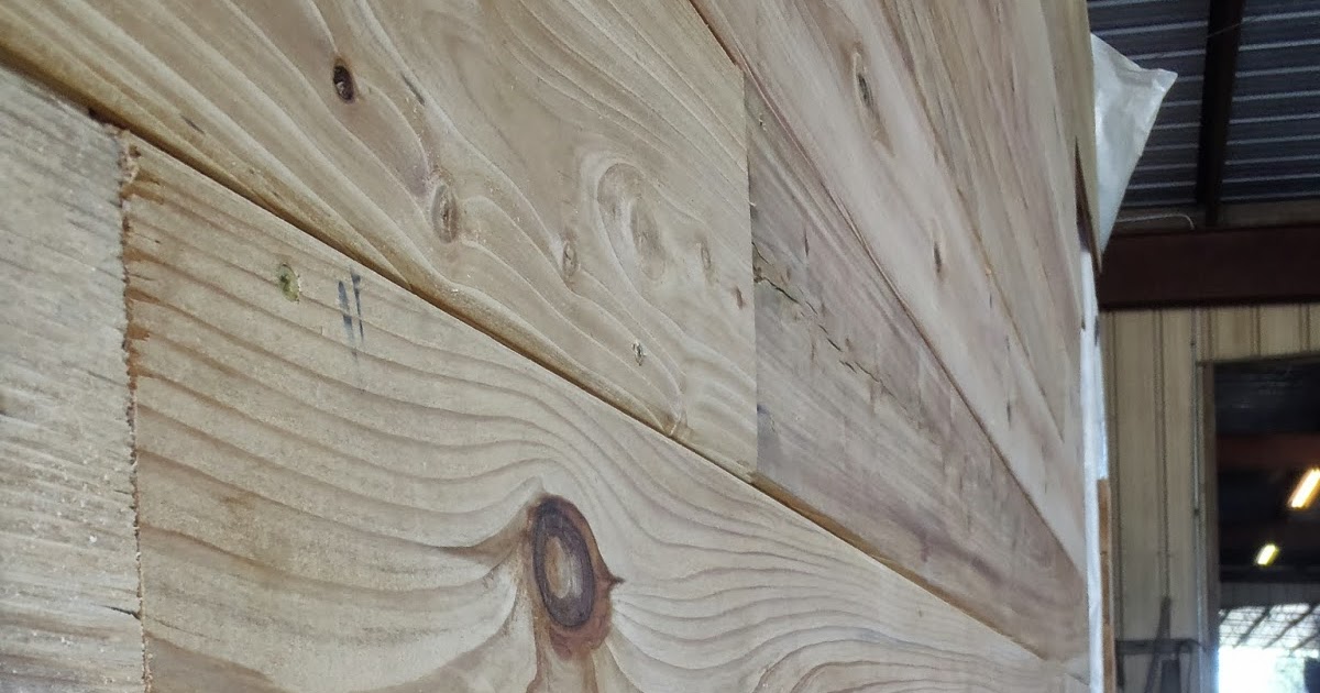 Adventures of the Wandering Turtle TongueandGroove