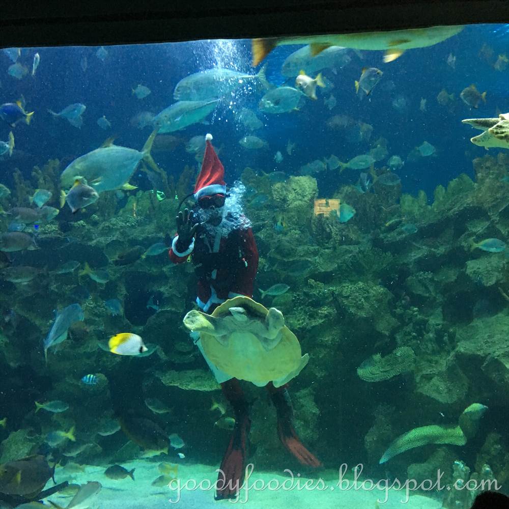 GoodyFoodies Mermaids Aquaria KLCC, Malaysia