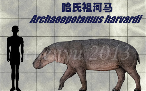 Archaeopotamus