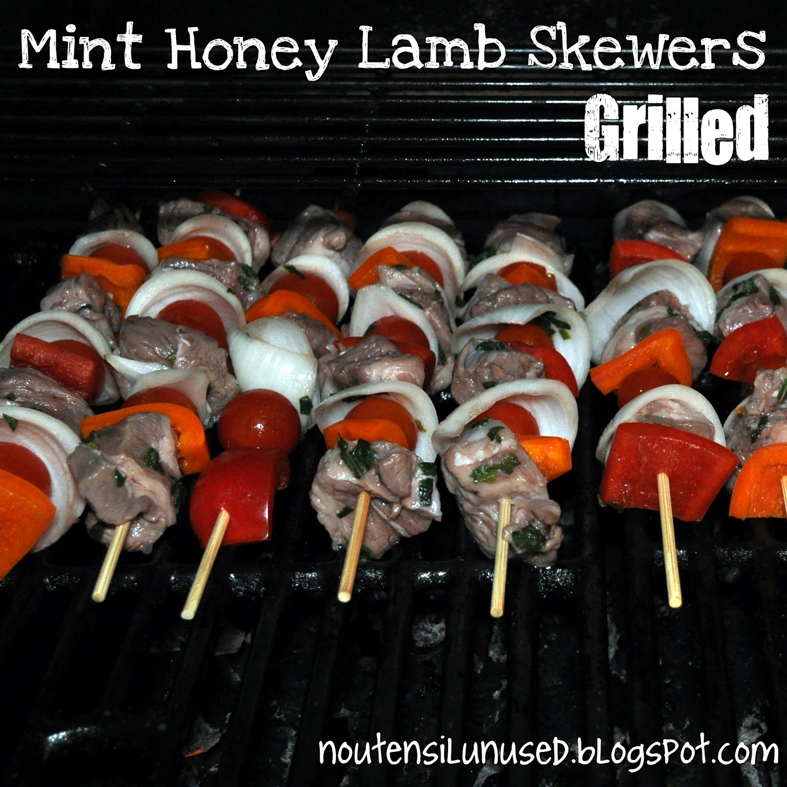 Mint Honey Lamb Skewers Grilled! Recipe No Utensil Unused