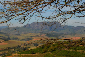 Pedra do Pedrão