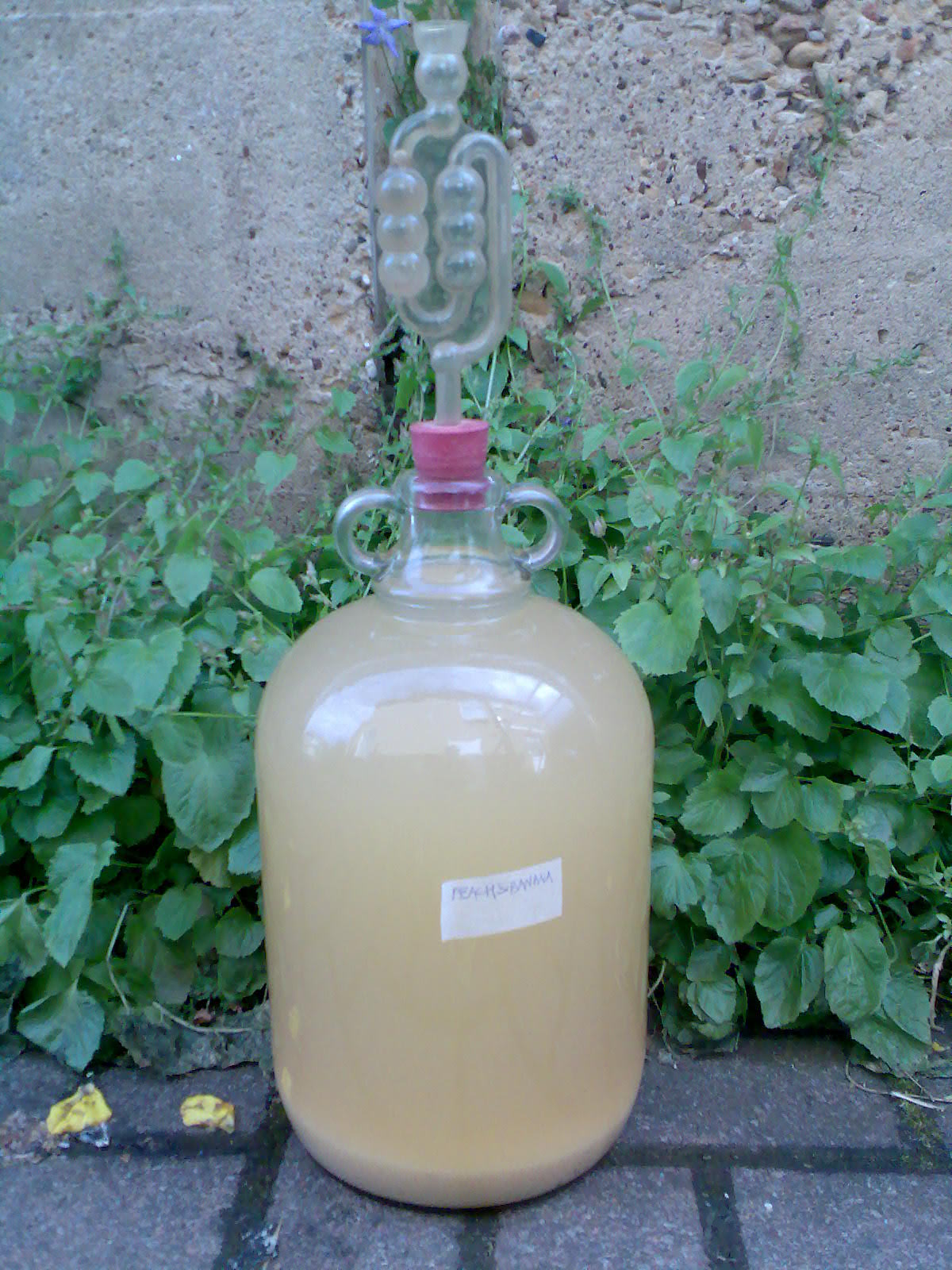 Ben's Adventures in Wine Making Peach and Banana Wine The Making Of