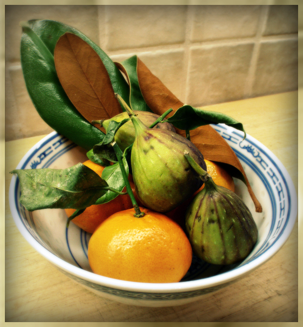 outlawhome Ancient Fruits