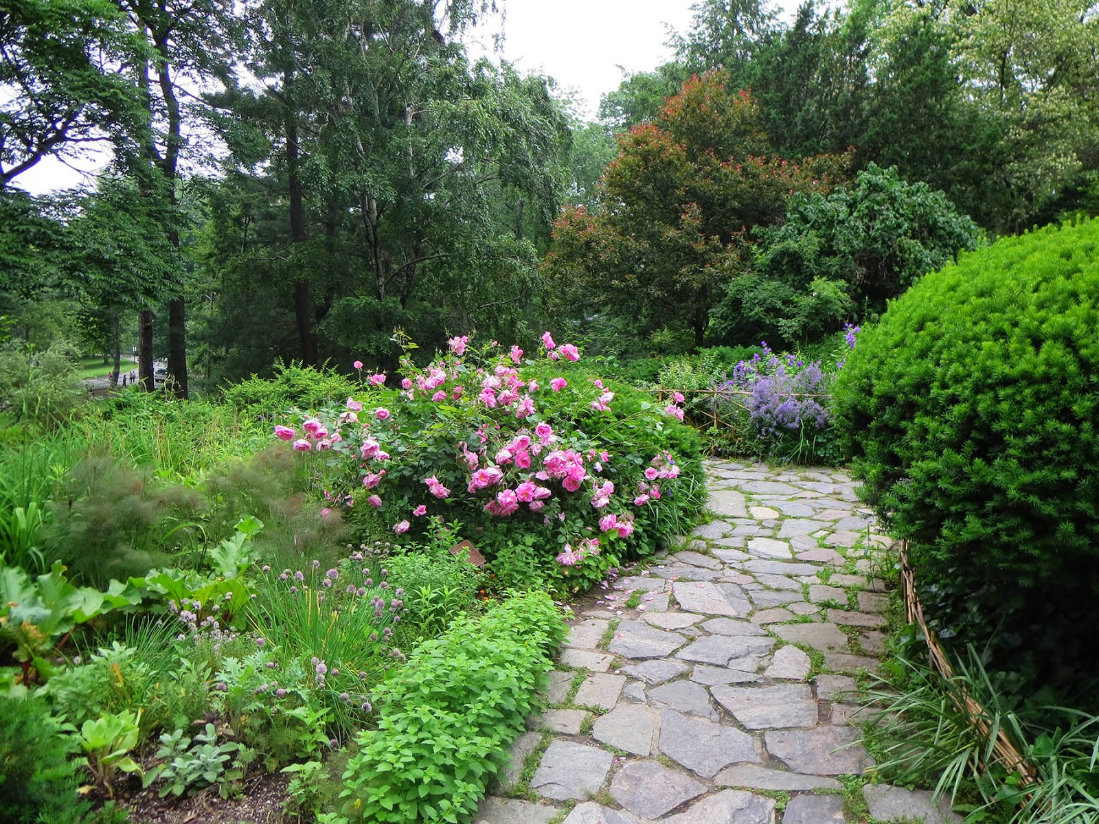 shakespeare gardens themed gardens that cultivates plants mentioned in the works of shakespeare can be found throughout many locations in both the us and - Shakespeare Garden Central Park shakespeare gardens themed gardens that cultivates plants mentioned in the works of shakespeare can be found throughout many locations in both the us and - Shakespeare Garden Central Park