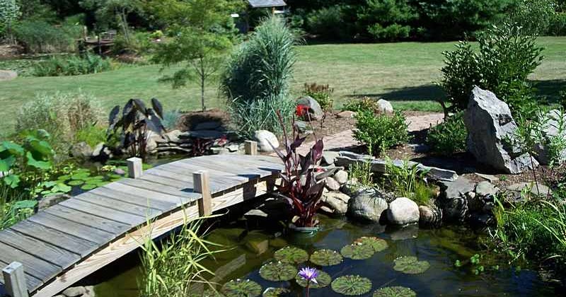 koi pond bridges Red Bridge
