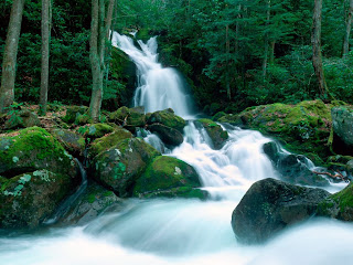 HD Waterfalls Wallpapers, wallpaper, desktop, backgrounds, images, photos, latest, 2012,2013, free, download, awesome, amazing, hot, cool, natural, photography, photographs, black, HD, High Definition, largest waterfall