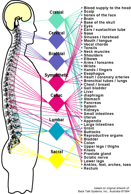 firebert the importance of fitness exercises show blood pressure chart