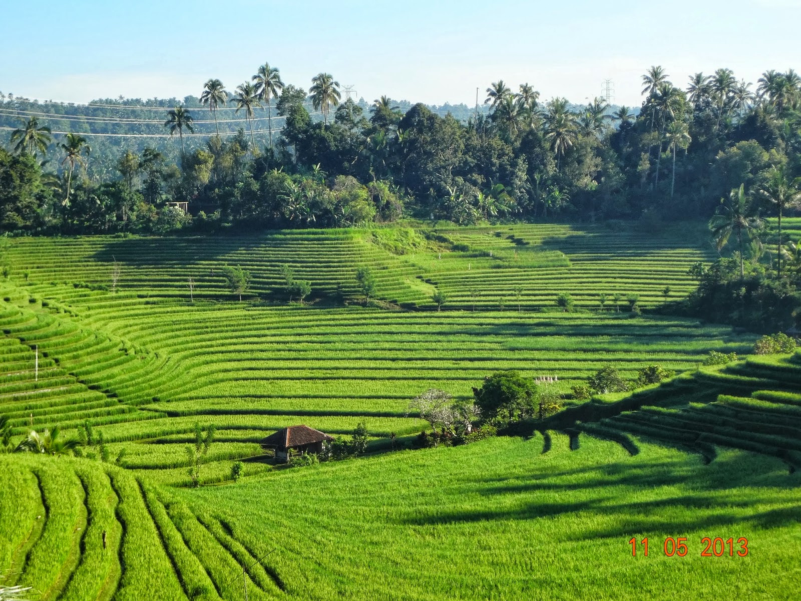 Bali Media Info Pemandangan Terasiring Dan Gunung Batukaru Di Bali Media Info Pemandangan Terasiring Dan Gunung Batukaru Di