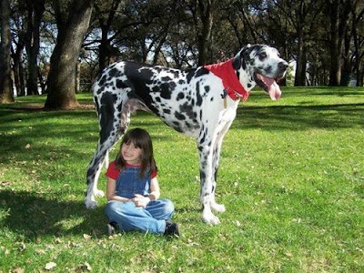 15 World#39;s Amazing and Biggest biggest animal in world. 15 World#39;s Amazing and Biggest