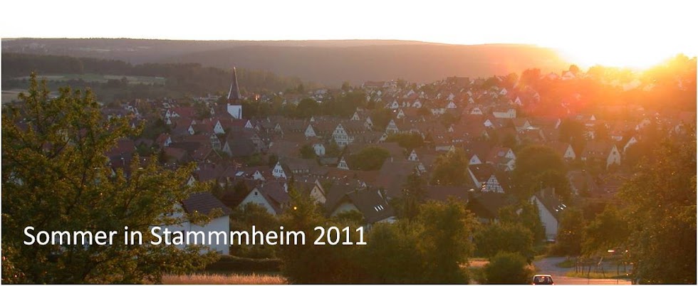 Sommer in Stammheim 2011