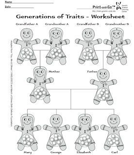 Creative Ideas for the Upper Elementary Classroom: Teaching Genetics