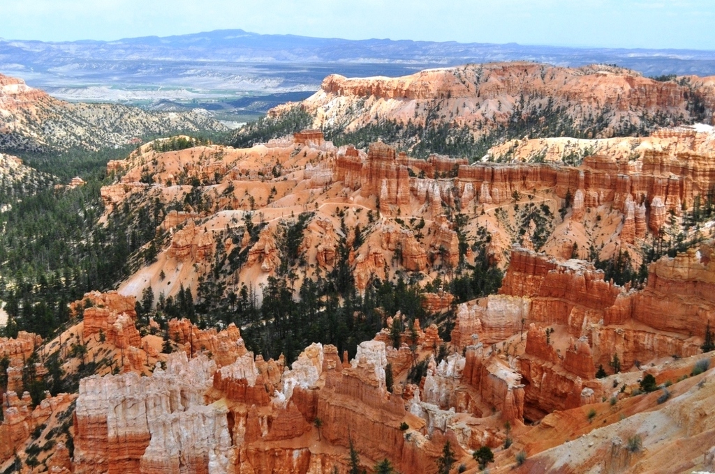 First image from post