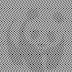 Você pode ver o que está nesta foto de primeira? Cientistas dizem que 9 em cada 10 pessoas não conseguem!