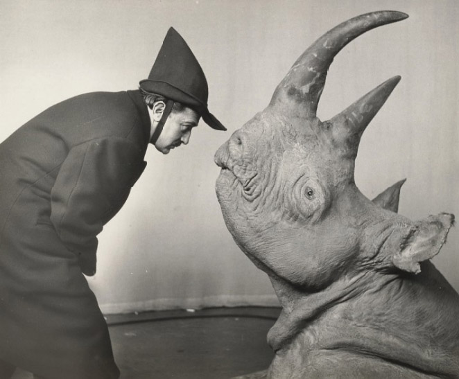 Salvador+dali+rhinoceros